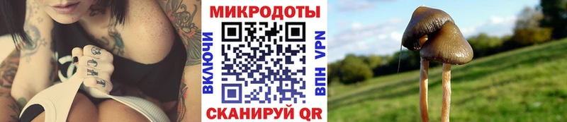 наркотики  Когалым  Галлюциногенные грибы ЛСД 