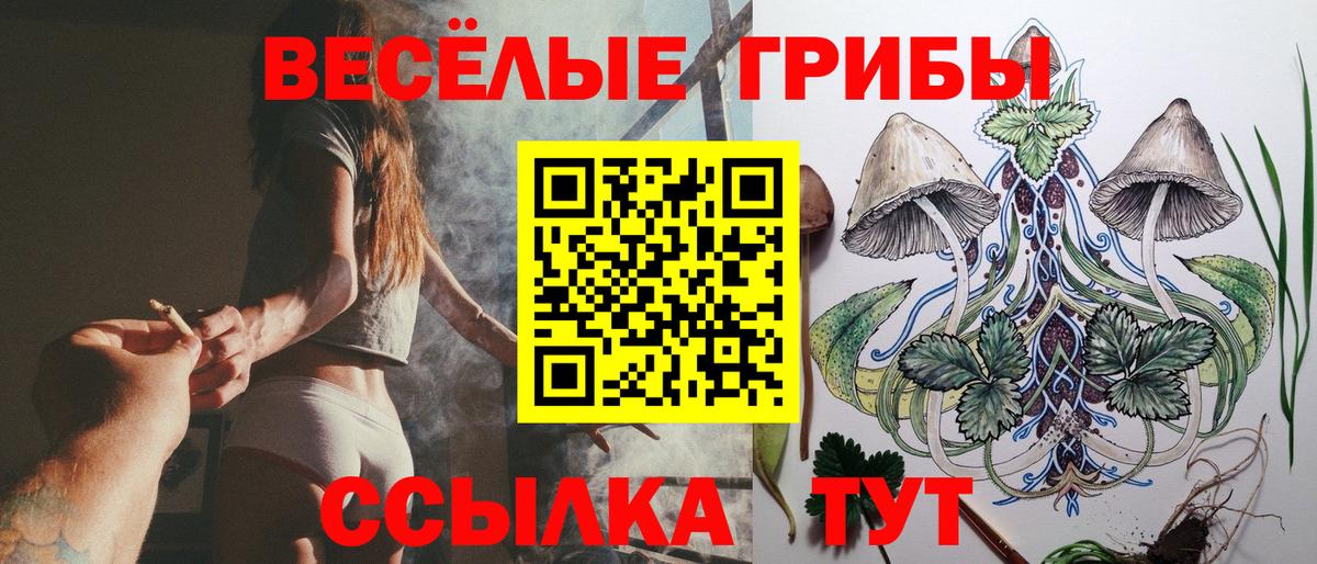 Галлюциногенные грибы Psilocybine cubensis  Псилоцибиновые грибы Psilocybine cubensis  Вход с VPN  Когалым 
