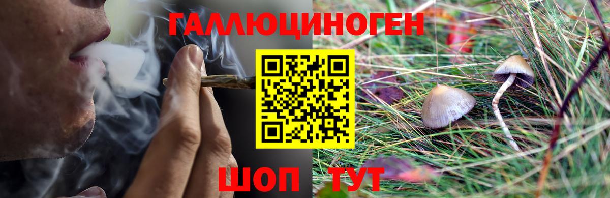 КЕТАМИН Когалым